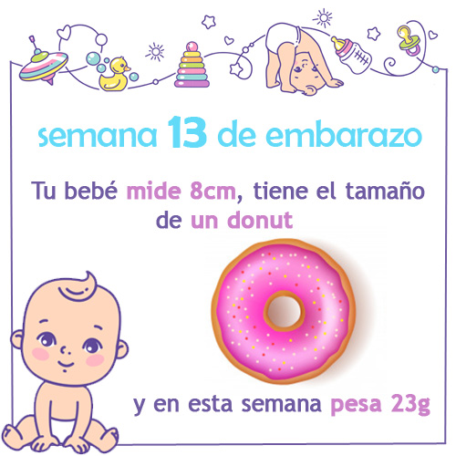 semana 13 de embarazo medida tamaño peso