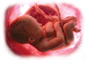 El hipo del bebé en el vientre materno