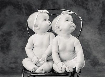 bebes-gemelos