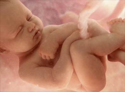 El vínculo materno-fetal o apego prenatal: Qué es y cuándo se inicia